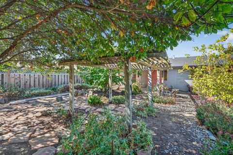 Tiny photo for 1438 Stockbridge Drive, SAN JOSE, CA 95130 (MLS # ML82024669)