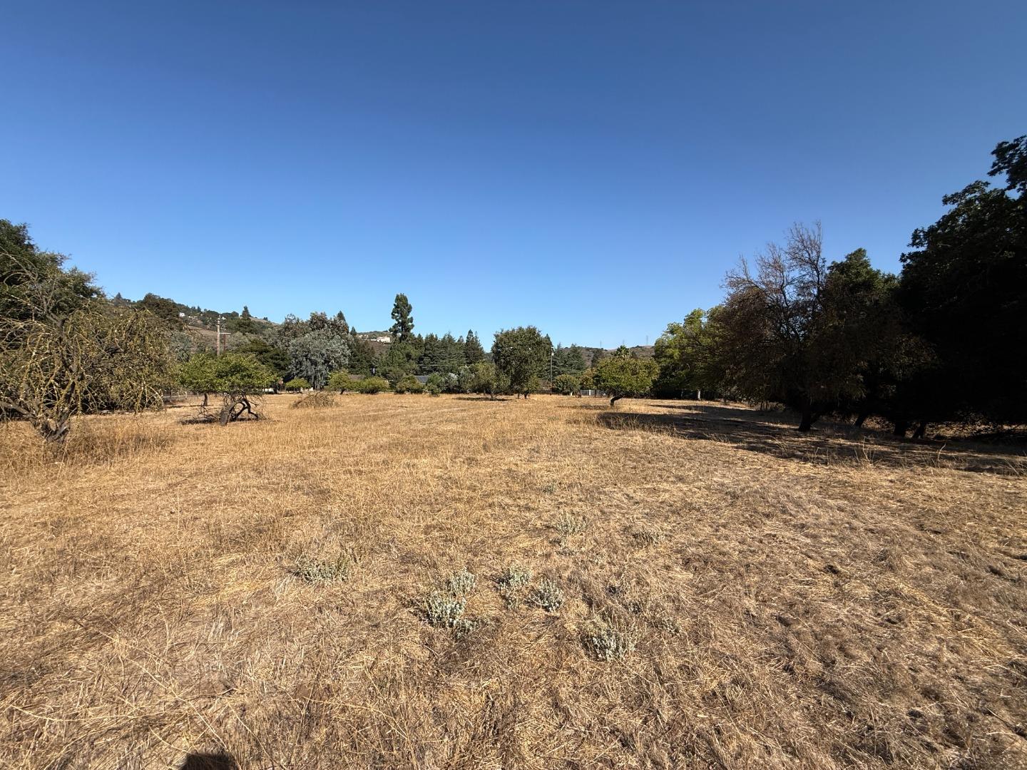 1100 Llagas Road