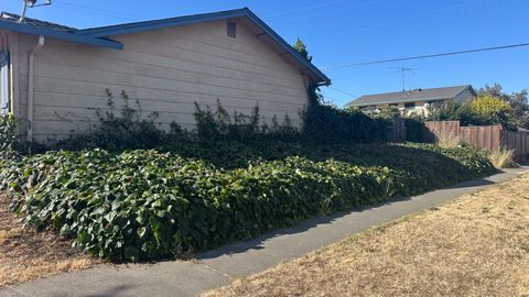Tiny photo for 2085 Ashwood Lane, SAN JOSE, CA 95132 (MLS # ML82030633)