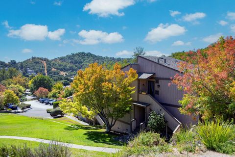 Tiny photo for 1 Clay Court, NOVATO, CA 94949 (MLS # ML82023825)