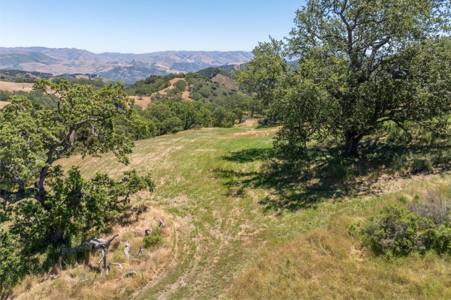 5 Black Mountain (Lot 247) Trail