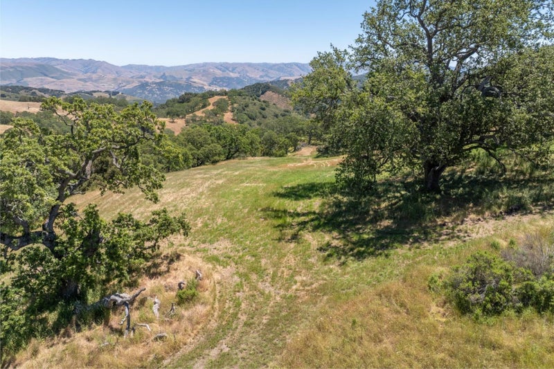 5 Black Mountain (Lot 247) Trail