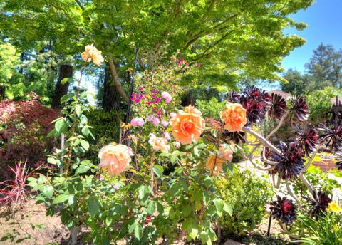 A home in LOS ALTOS