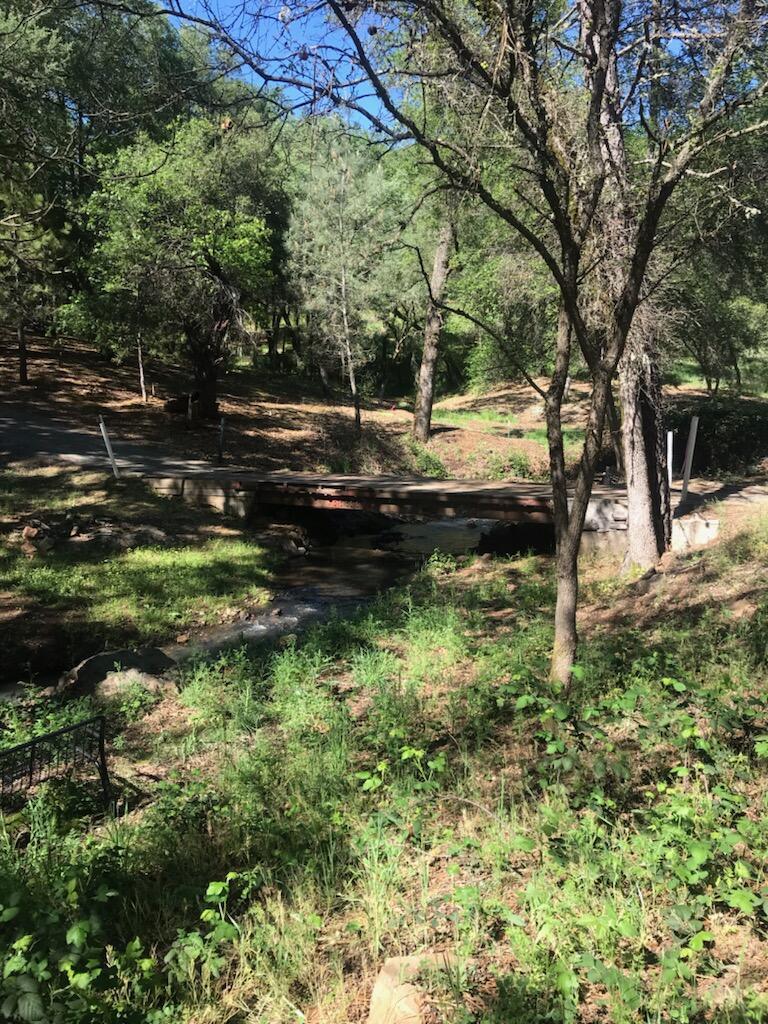 10255 Turkey Trot Place