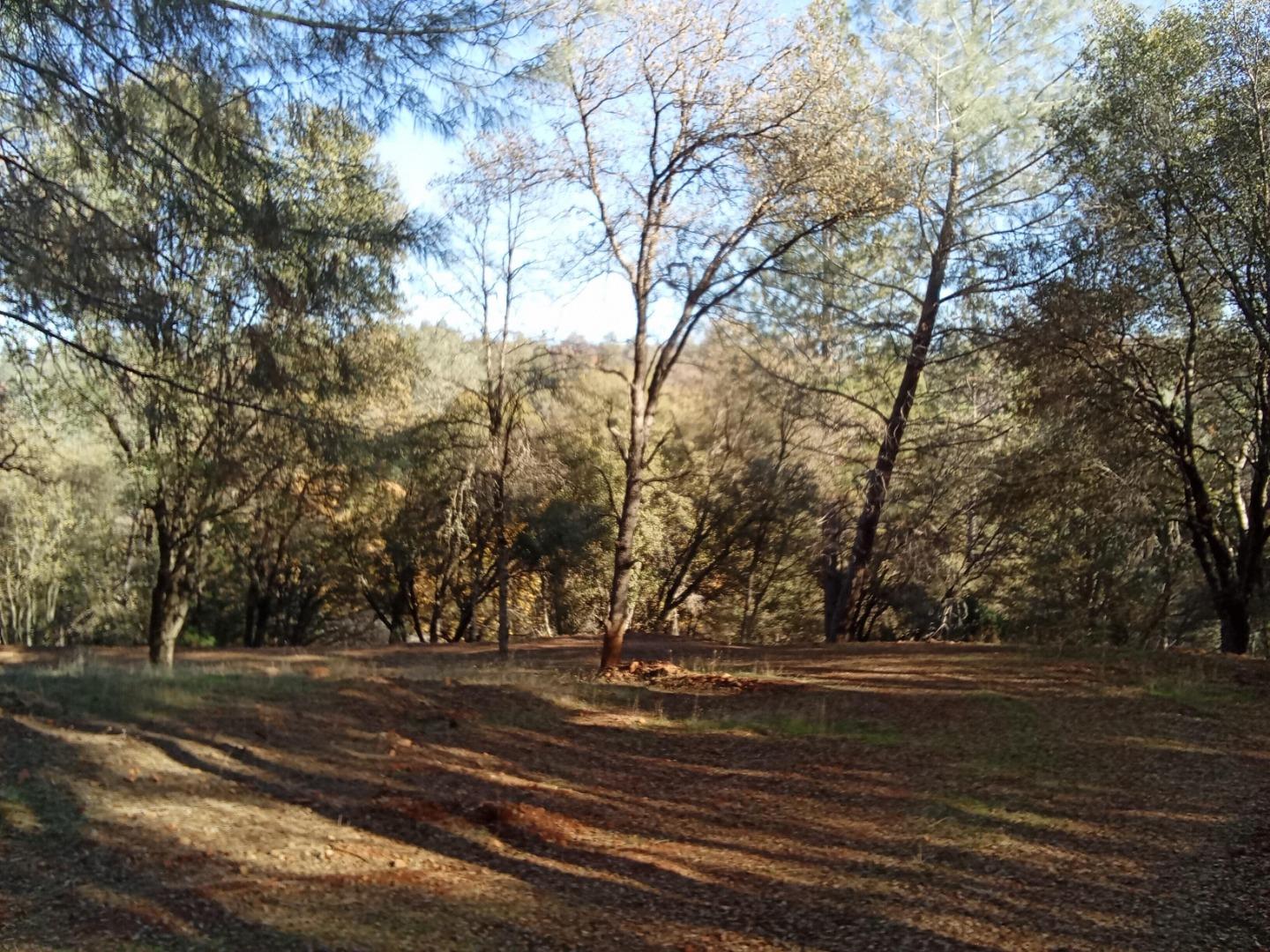 10255 Turkey Trot Place