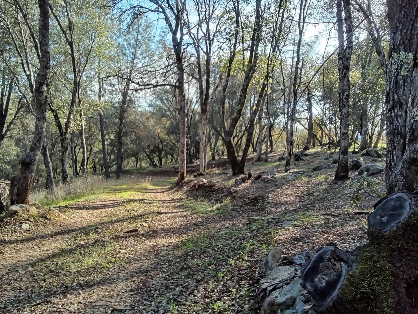 10255 Turkey Trot Place