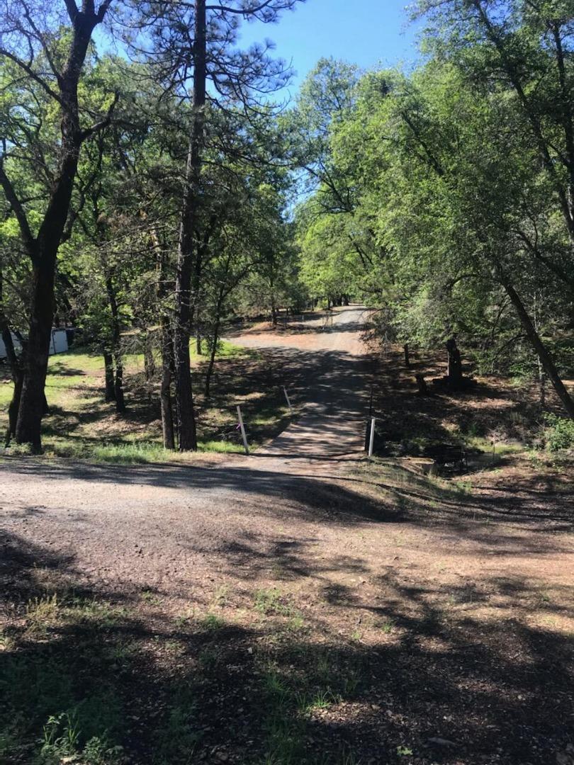 10255 Turkey Trot Place