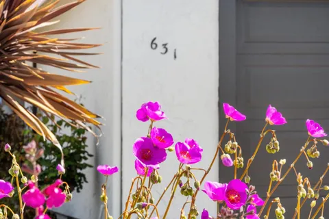 631 Spar Drive, Redwood Shores, CA 94065 - #: ML82002708