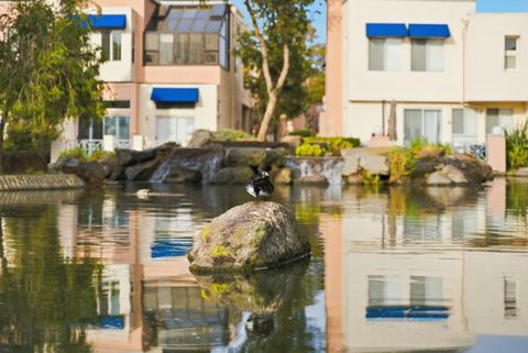 Tiny photo for 852 Lakeshore Drive, REDWOOD CITY, CA 94065 (MLS # ML82032255)