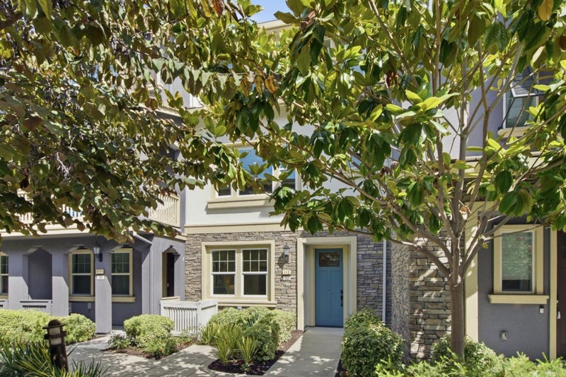 113 Lemmon Terrace