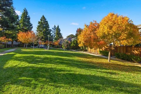 Tiny photo for 1542 Canna Court, MOUNTAIN VIEW, CA 94043 (MLS # ML82029254)