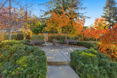 Tiny photo for 1542 Canna Court, MOUNTAIN VIEW, CA 94043 (MLS # ML82029254)