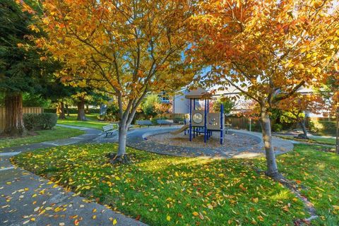 Tiny photo for 1542 Canna Court, MOUNTAIN VIEW, CA 94043 (MLS # ML82029254)