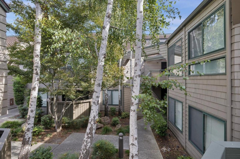 20 Cove Lane