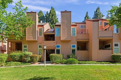 Photo of 5344 Borneo Circle, SAN JOSE, CA 95123 (MLS # ML82048007)