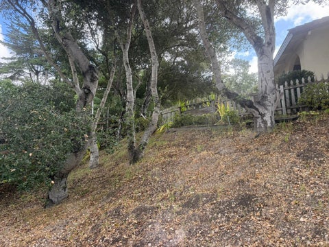 Tiny photo for 11585 Mccarthy Road, CARMEL VALLEY, CA 93924 (MLS # ML82048905)