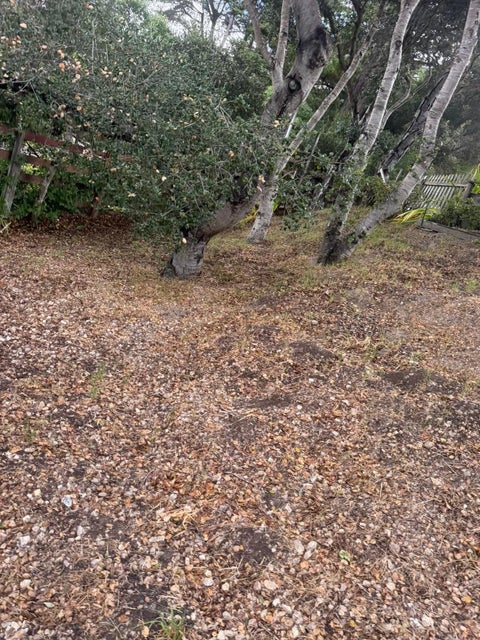 Tiny photo for 11585 Mccarthy Road, CARMEL VALLEY, CA 93924 (MLS # ML82048905)