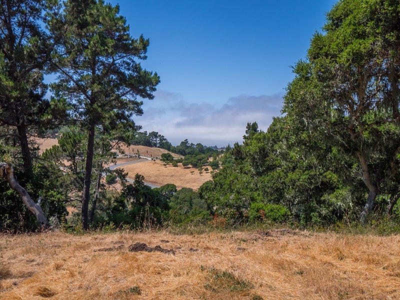 7765 Paseo Venado