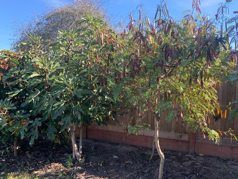 Tiny photo for 166 Afton Road, SALINAS, CA 93905 (MLS # ML82027525)