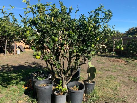 Tiny photo for 166 Afton Road, SALINAS, CA 93905 (MLS # ML82027525)