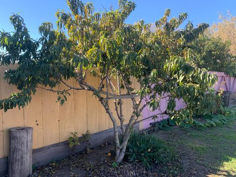 Tiny photo for 166 Afton Road, SALINAS, CA 93905 (MLS # ML82027525)