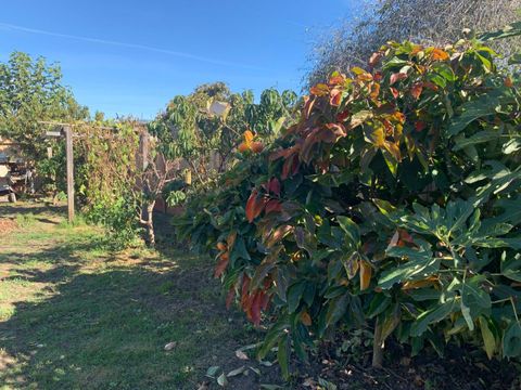 Tiny photo for 166 Afton Road, SALINAS, CA 93905 (MLS # ML82027525)