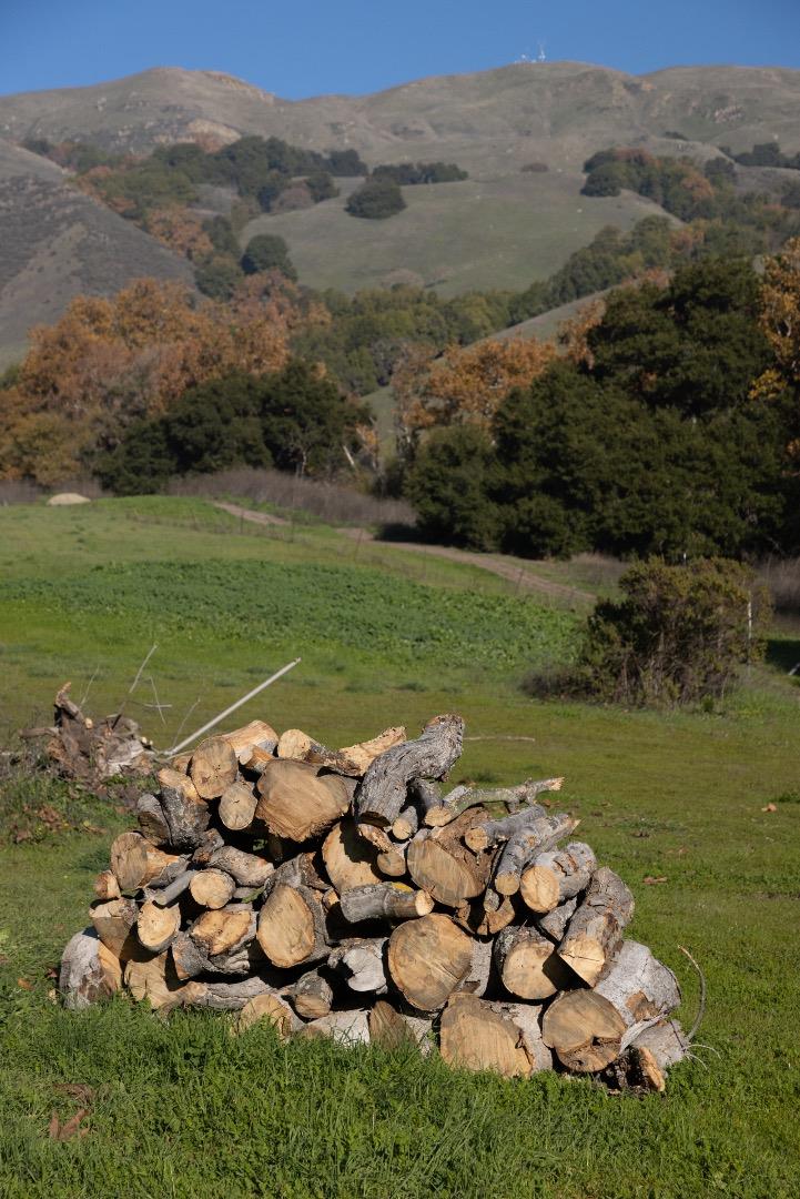 2000 Scott Creek Road