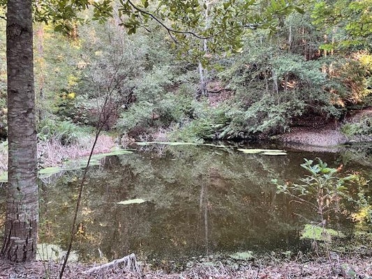 LOVE CREEK RD, BEN LOMOND, CA 95005 - Image 605da4aedfe3cf78eb5d40df4b1cde38/2998054287