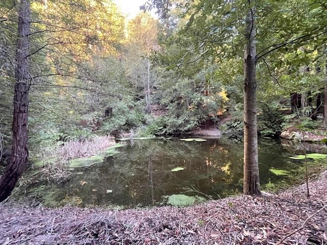 00 Love Creek