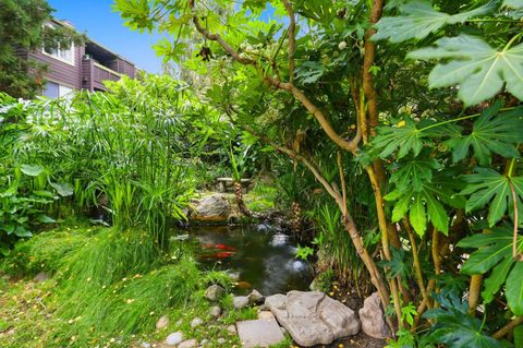 Tiny photo for 850 Catkin Court, SAN JOSE, CA 95128 (MLS # ML82026771)