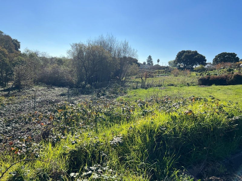 91 Alta Vista Avenue