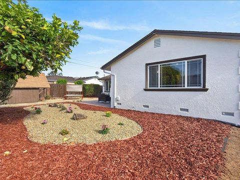 Tiny photo for 1423 SW Santa Fe Drive, SAN JOSE, CA 95118 (MLS # ML82043180)