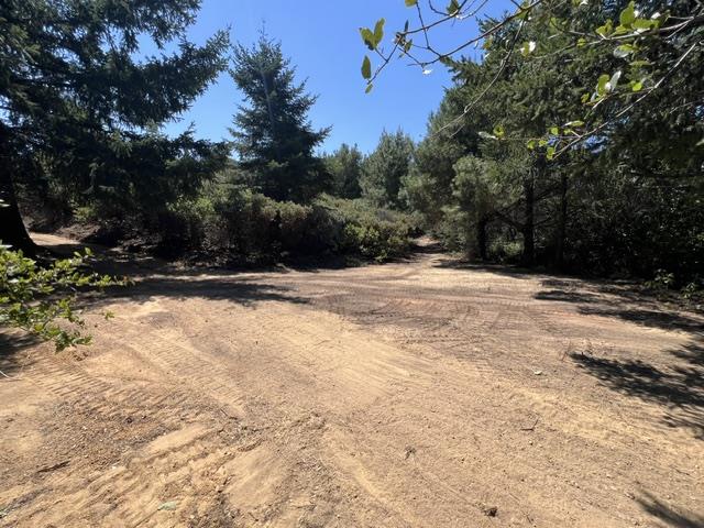 36000 Mt Madonna Road