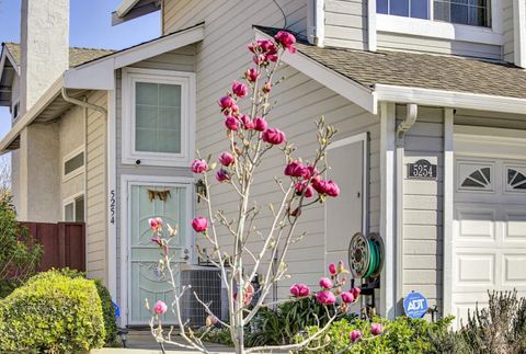 Tiny photo for 5254 Country Forge Lane, SAN JOSE, CA 95136 (MLS # ML82035055)