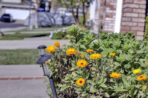 Tiny photo for 5254 Country Forge Lane, SAN JOSE, CA 95136 (MLS # ML82035055)