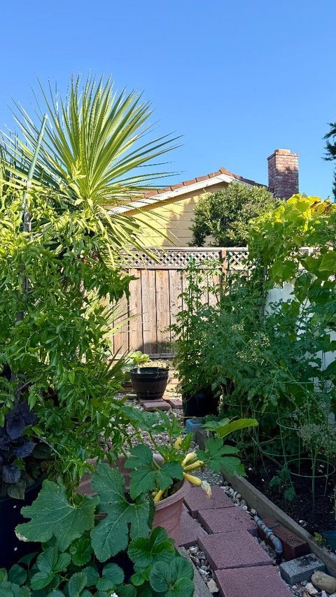 Tiny photo for 19959 Sea Gull Way, SARATOGA, CA 95070 (MLS # ML82061930)