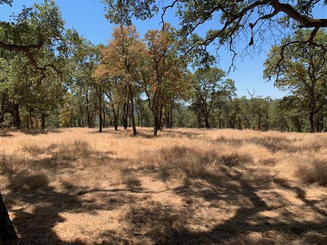 0 BRIDLE TRAIL