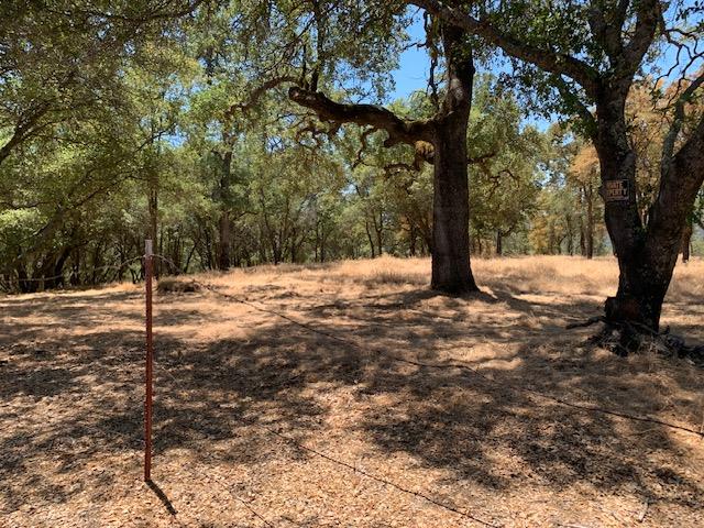 0 BRIDLE TRAIL