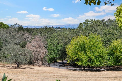 Tiny photo for 309 Olive Hill Lane, WOODSIDE, CA 94062 (MLS # ML82039836)