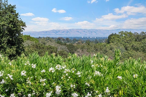 Tiny photo for 309 Olive Hill Lane, WOODSIDE, CA 94062 (MLS # ML82039836)