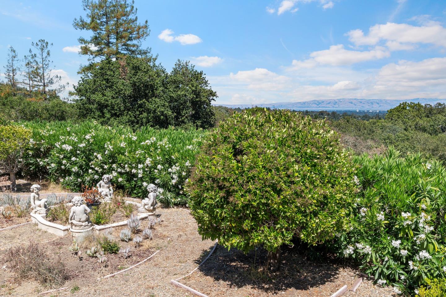 309 Olive Hill Lane