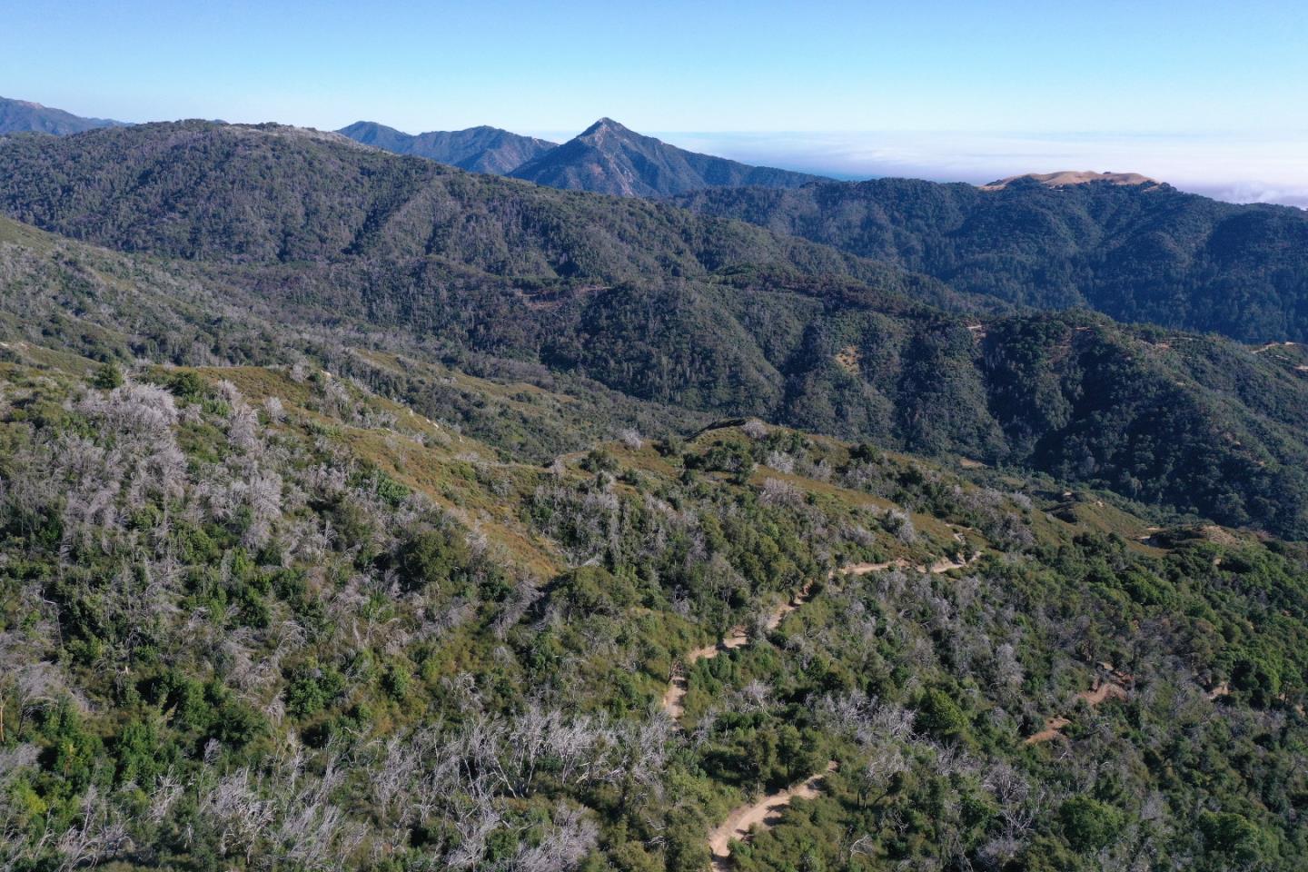 38875 Palo Colorado Road