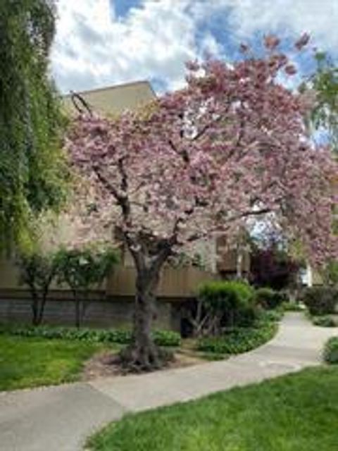 Photo of 4415 Norwalk Drive #3, San Jose, CA 95129 (MLS # ML82034026)