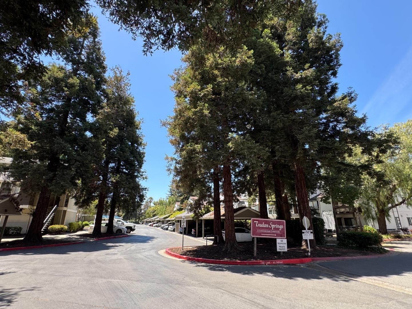1856 Tradan Drive