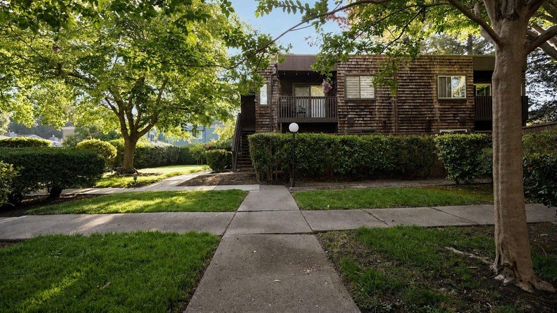 1231 Honey Trail