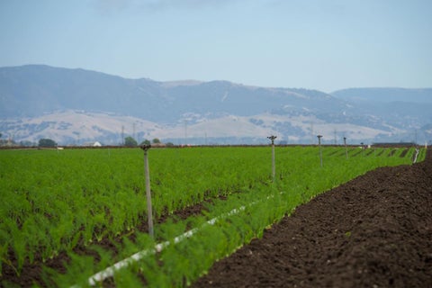 Tiny photo for SALINAS, CA 93907 (MLS # ML82057559)