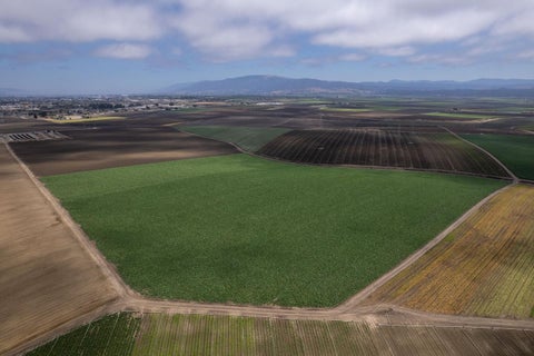 Tiny photo for SALINAS, CA 93907 (MLS # ML82057559)