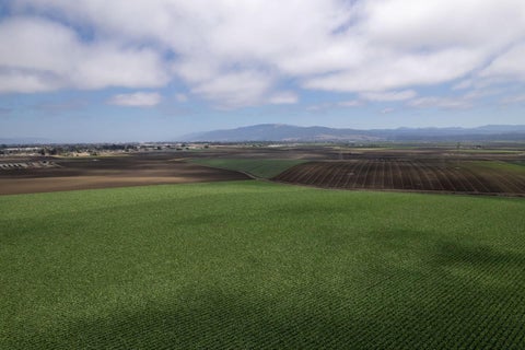 Tiny photo for SALINAS, CA 93907 (MLS # ML82057559)