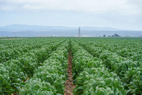 Tiny photo for SALINAS, CA 93907 (MLS # ML82057559)