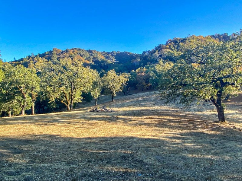 22 Arroyo Sequoia